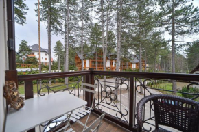 ZVEZDANA NOĆ Zlatibor